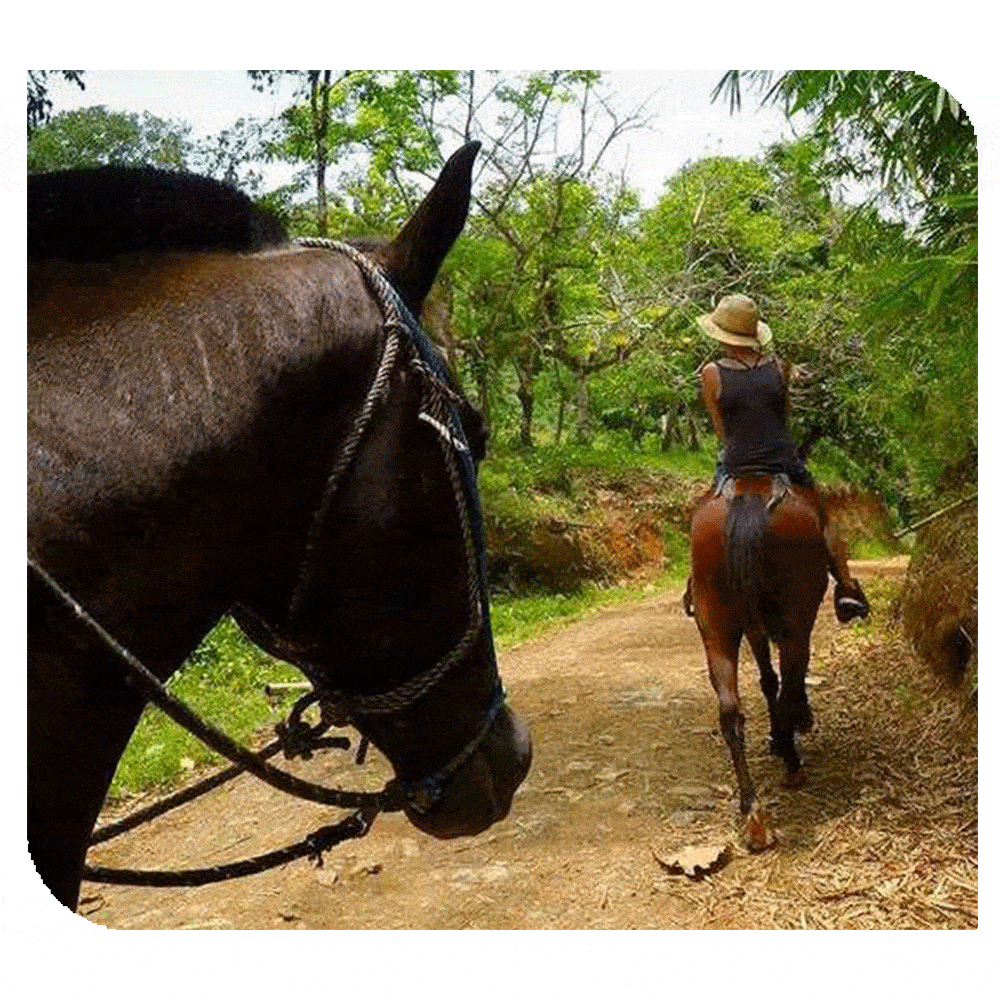 Hospedaje en Ciudad Quesada, Hospedaje en San Carlos, Airbnb en Ciudad Quesada